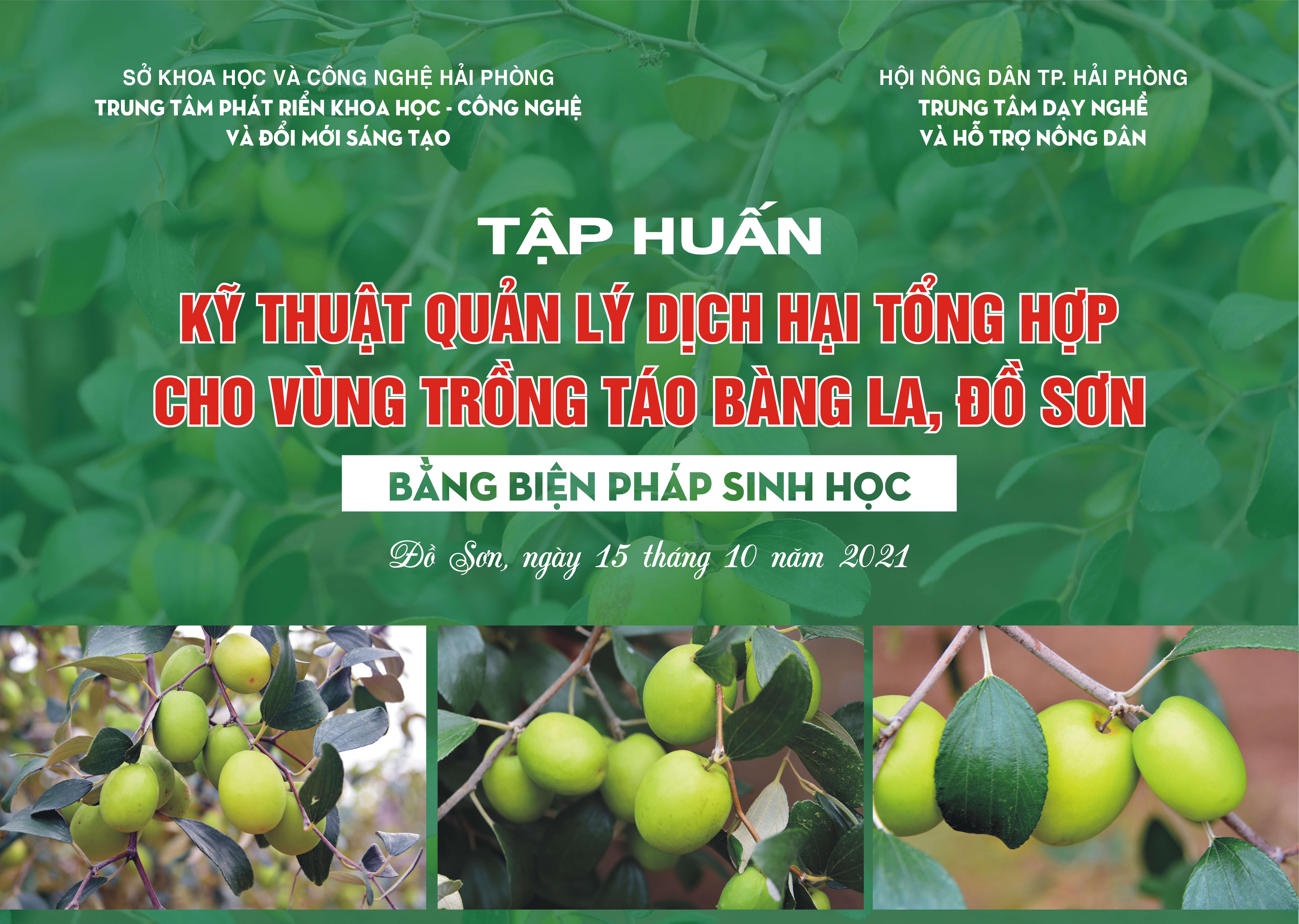 Tập huấn: Kỹ thuật quản lý dịch hại tổng hợp cho vùng trồng táo Bàng La, Đồ Sơn bằng biện pháp sinh học